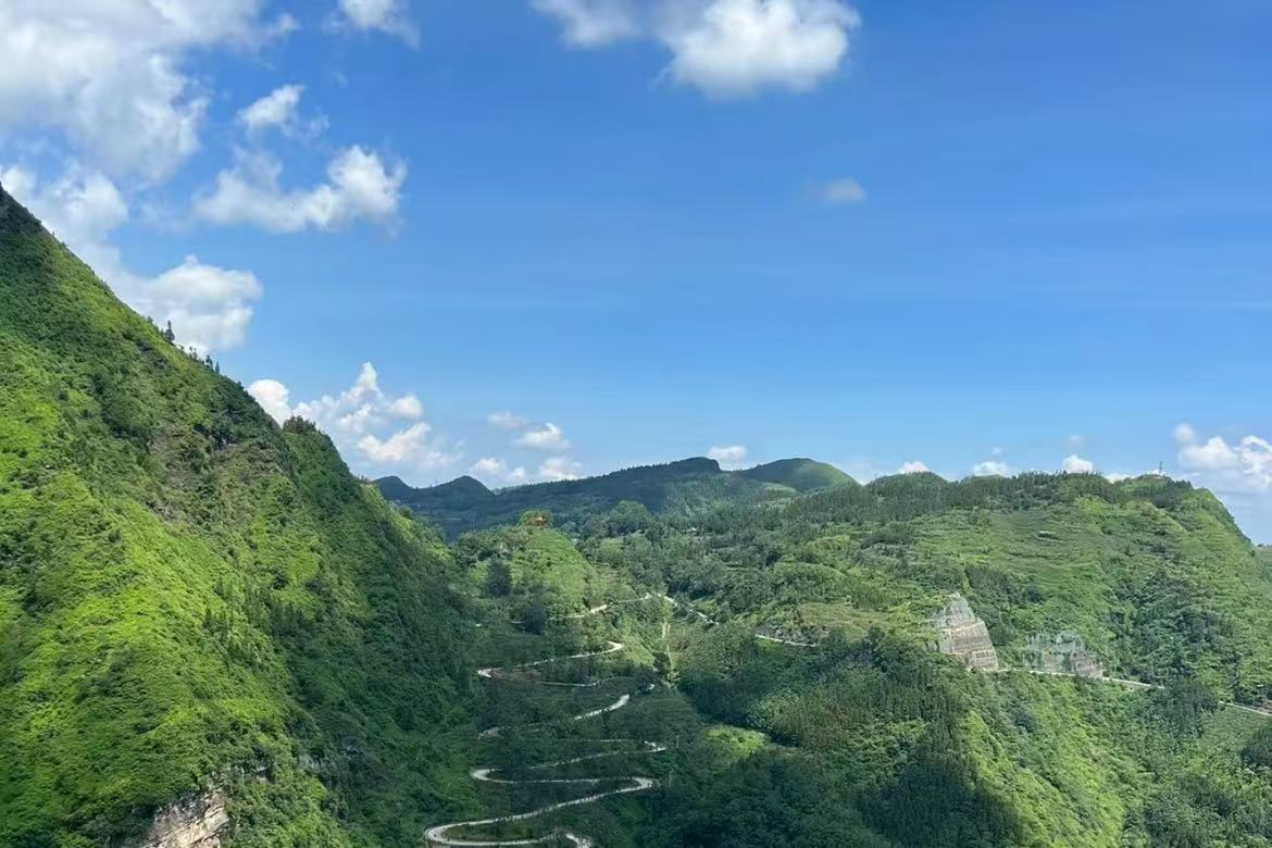 Jinglong Twenty-Four Turns